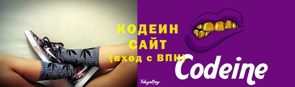 стаф Снежногорск