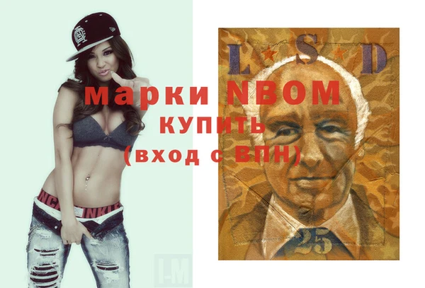 стафф Осинники
