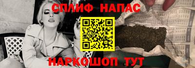 трава Гатчина