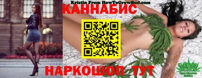 трава Гатчина