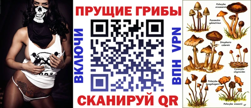 Псилоцибиновые грибы прущие грибы  купить наркоту  Мытищи 