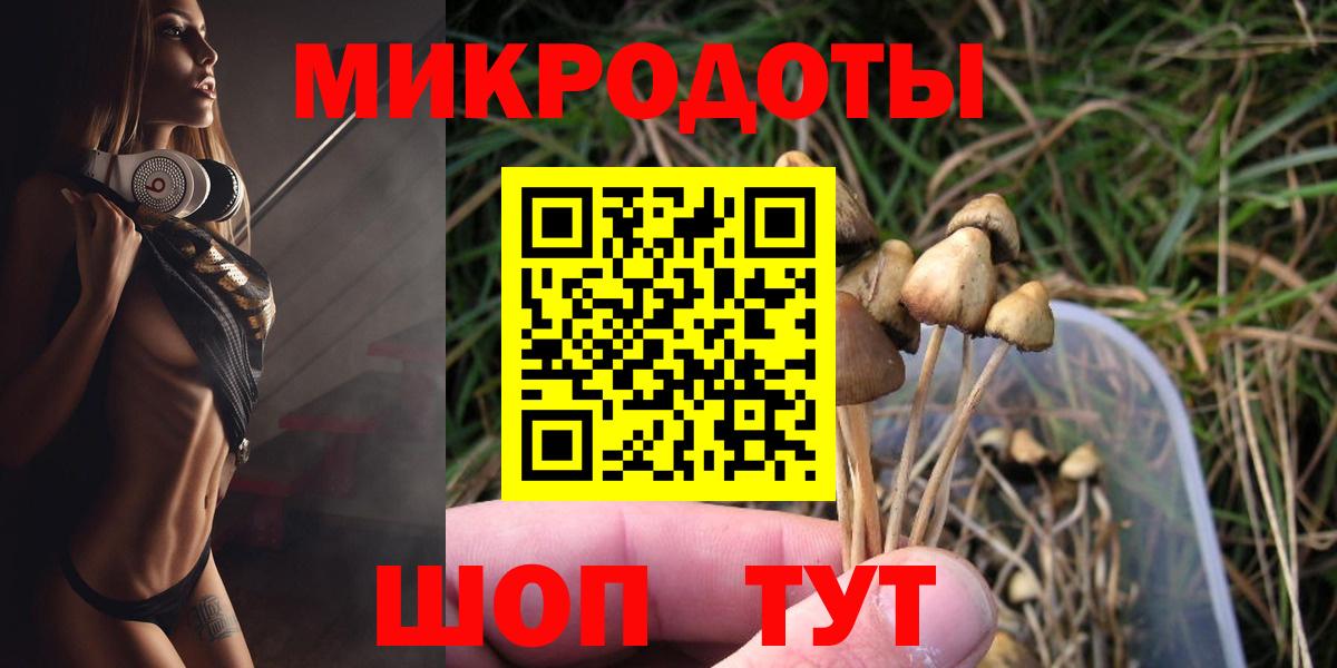 Псилоцибиновые грибы Psilocybine cubensis Мытищи
